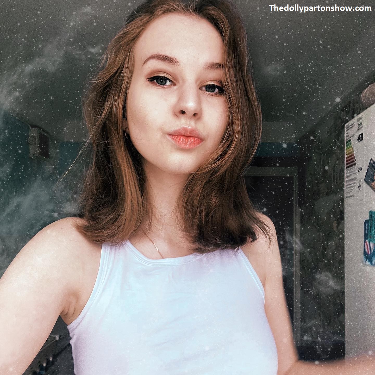 Anna Sibster Age, Career, Family, Net Worth & Facts 2025