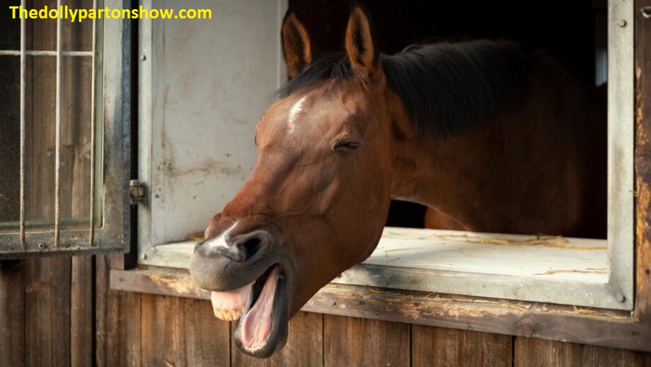 Horse Puns The Ultimate Guide to Neigh-Saying Your Way Through Life